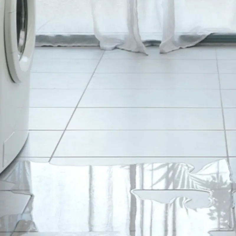 Appliance Leak Cleanup in Edgewood, FL