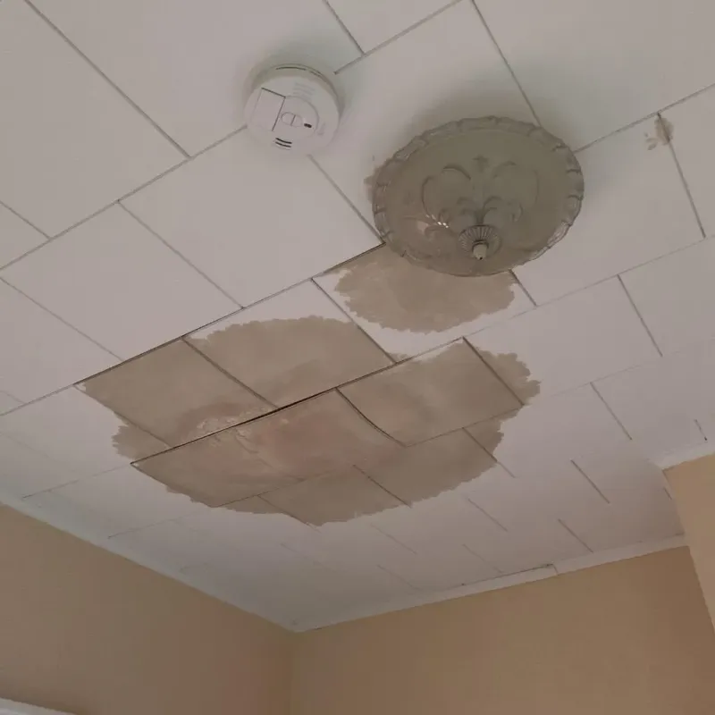 Ceiling Water Damage Repair in Edgewood, FL